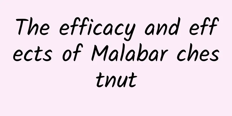 The efficacy and effects of Malabar chestnut