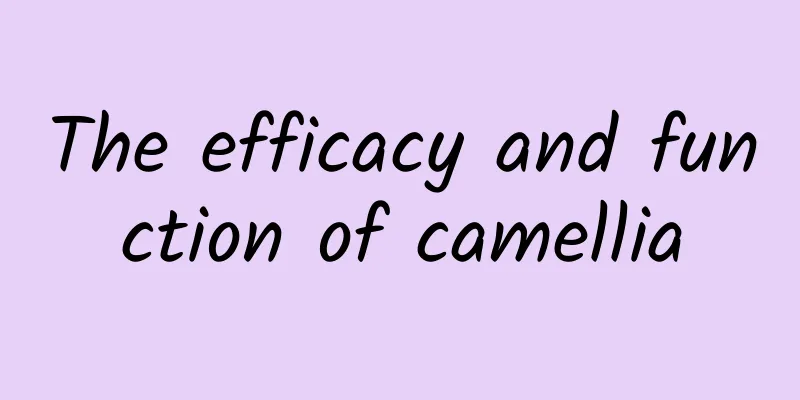 The efficacy and function of camellia