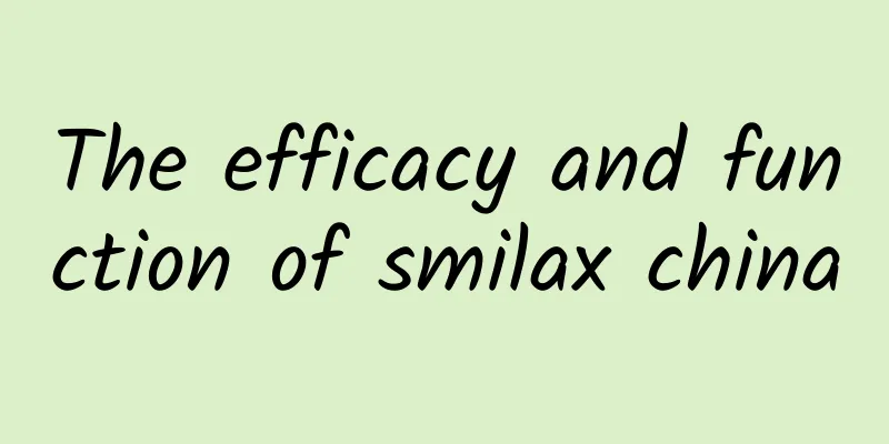 The efficacy and function of smilax china