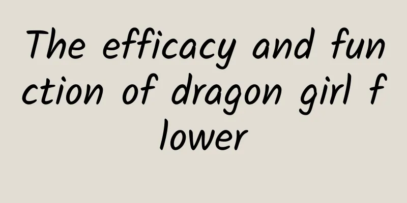 The efficacy and function of dragon girl flower