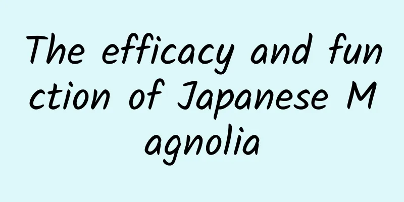 The efficacy and function of Japanese Magnolia