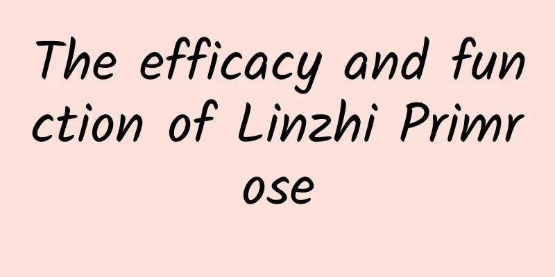 The efficacy and function of Linzhi Primrose