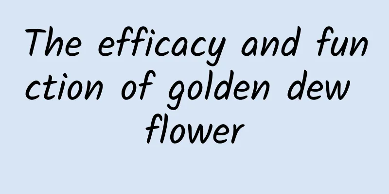 The efficacy and function of golden dew flower