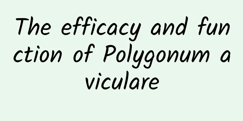 The efficacy and function of Polygonum aviculare