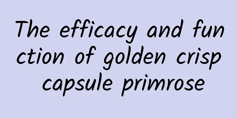 The efficacy and function of golden crisp capsule primrose