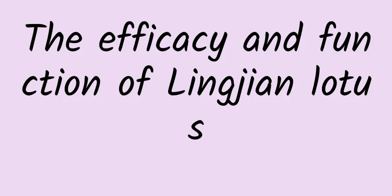 The efficacy and function of Lingjian lotus