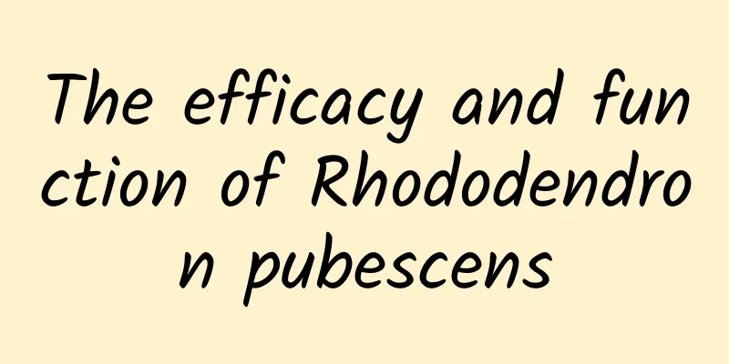 The efficacy and function of Rhododendron pubescens