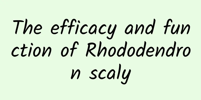 The efficacy and function of Rhododendron scaly