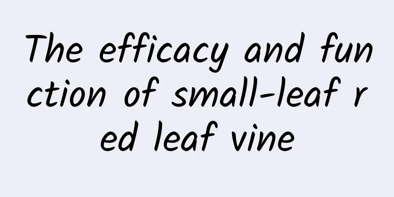 The efficacy and function of small-leaf red leaf vine