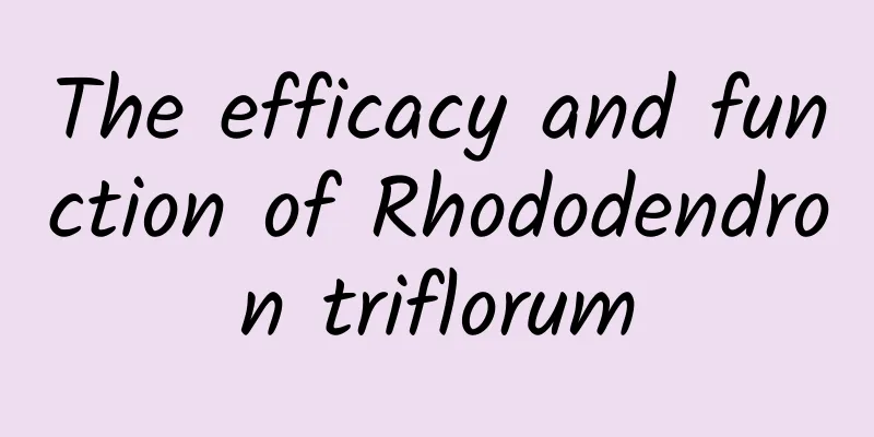 The efficacy and function of Rhododendron triflorum