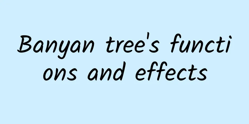 Banyan tree's functions and effects