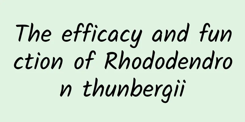 The efficacy and function of Rhododendron thunbergii