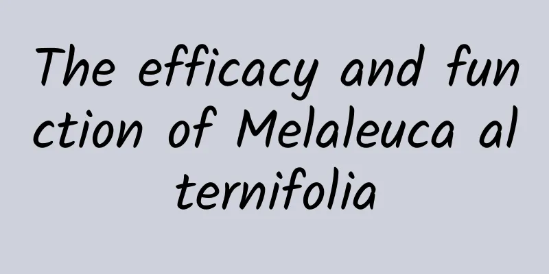 The efficacy and function of Melaleuca alternifolia