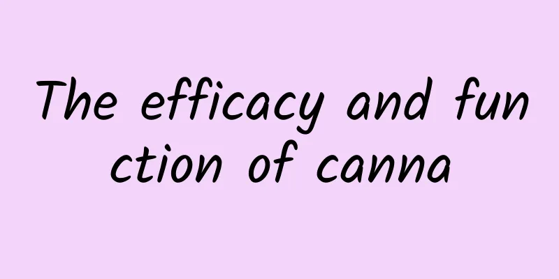 The efficacy and function of canna