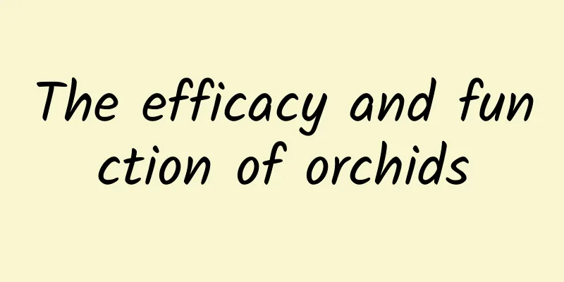 The efficacy and function of orchids