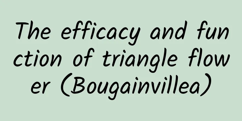 The efficacy and function of triangle flower (Bougainvillea)