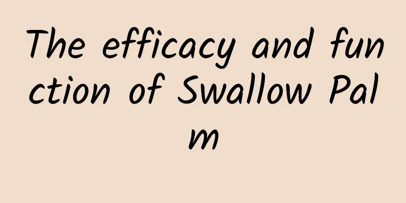 The efficacy and function of Swallow Palm