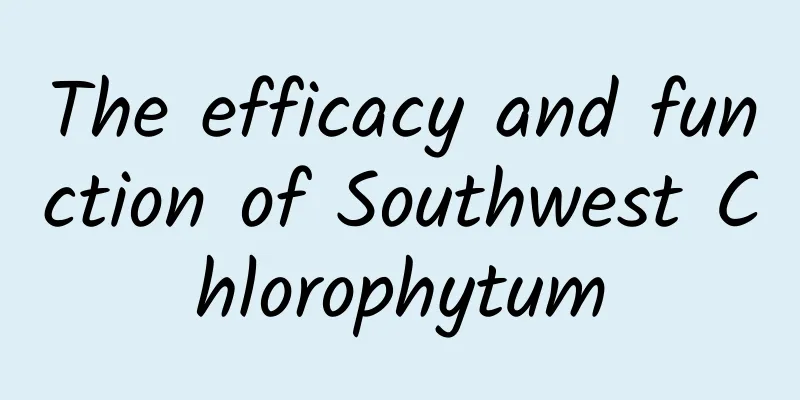 The efficacy and function of Southwest Chlorophytum