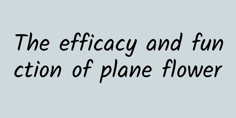 The efficacy and function of plane flower