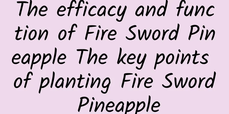 The efficacy and function of Fire Sword Pineapple The key points of planting Fire Sword Pineapple