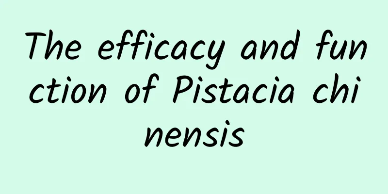 The efficacy and function of Pistacia chinensis