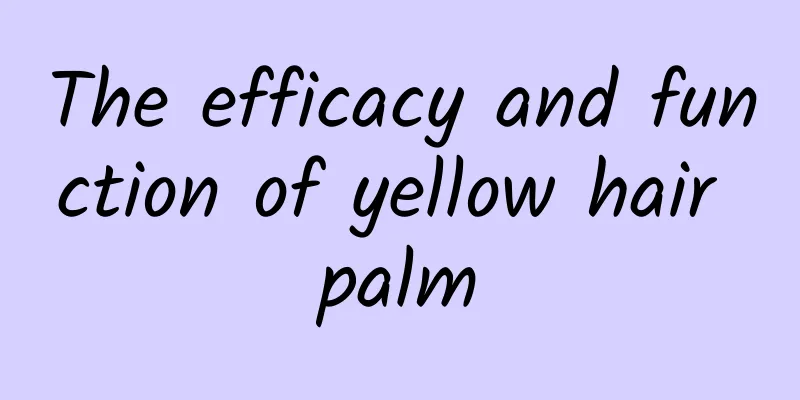 The efficacy and function of yellow hair palm