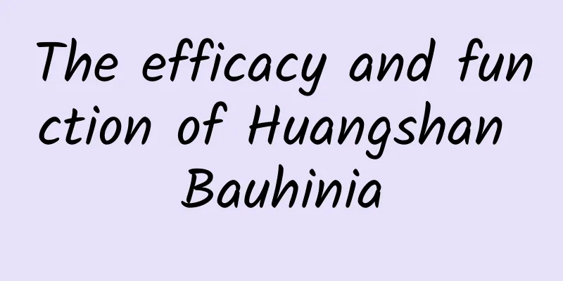 The efficacy and function of Huangshan Bauhinia