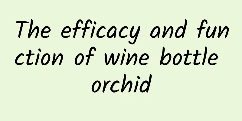 The efficacy and function of wine bottle orchid