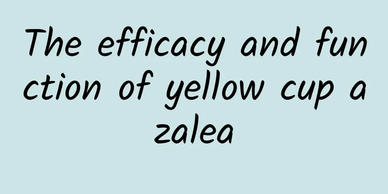 The efficacy and function of yellow cup azalea