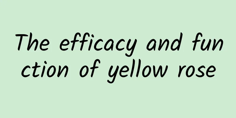 The efficacy and function of yellow rose