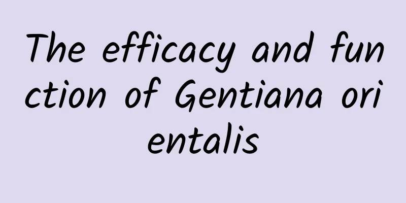 The efficacy and function of Gentiana orientalis