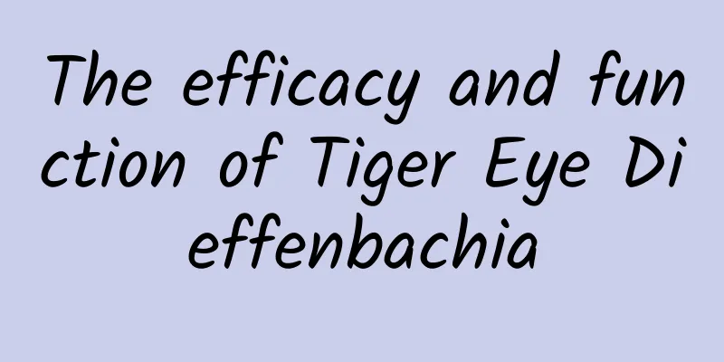 The efficacy and function of Tiger Eye Dieffenbachia