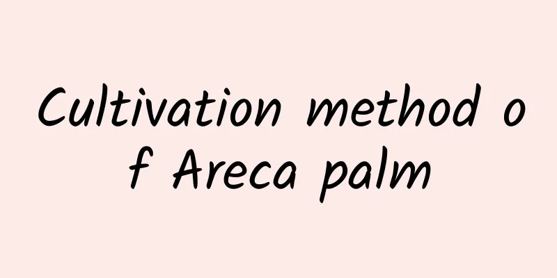 Cultivation method of Areca palm