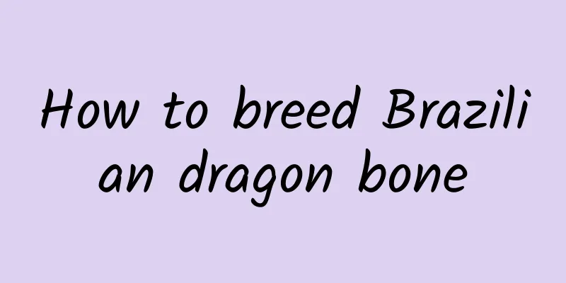 How to breed Brazilian dragon bone