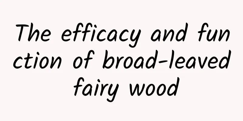 The efficacy and function of broad-leaved fairy wood