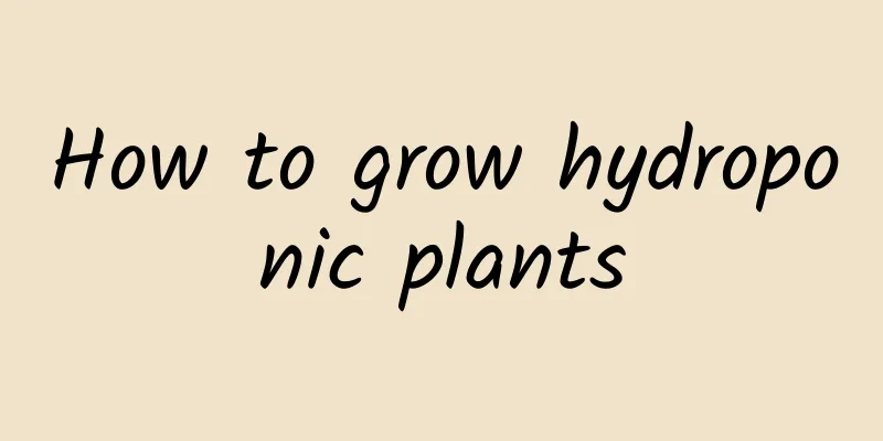 How to grow hydroponic plants