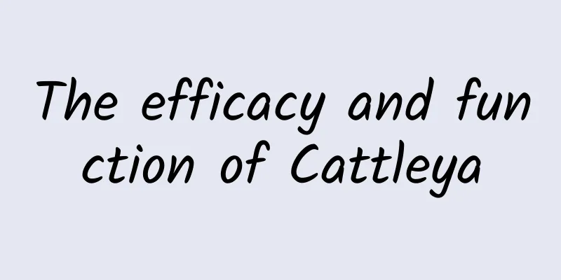 The efficacy and function of Cattleya