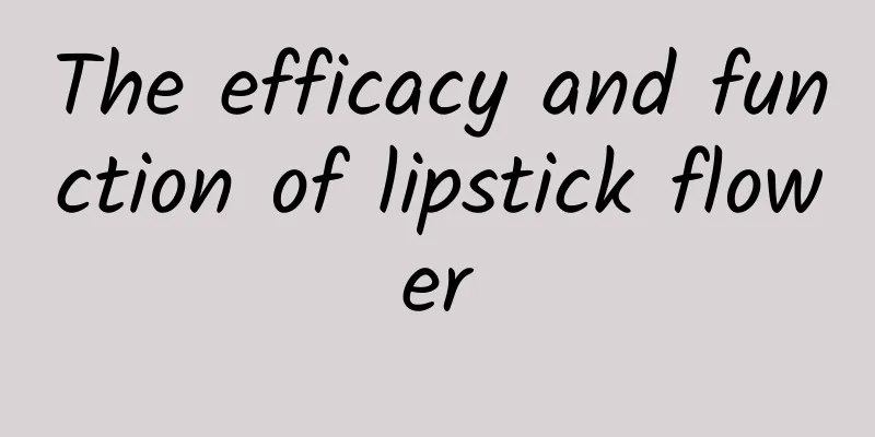 The efficacy and function of lipstick flower