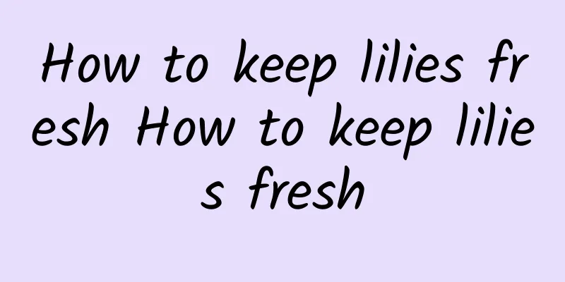 How to keep lilies fresh How to keep lilies fresh