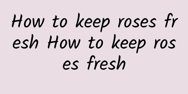 How to keep roses fresh How to keep roses fresh