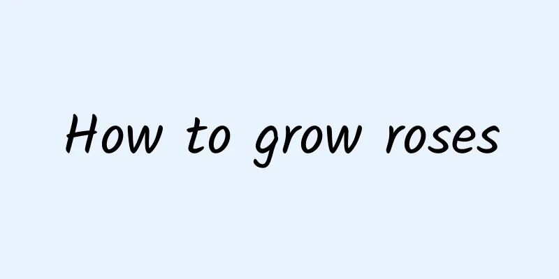 How to grow roses