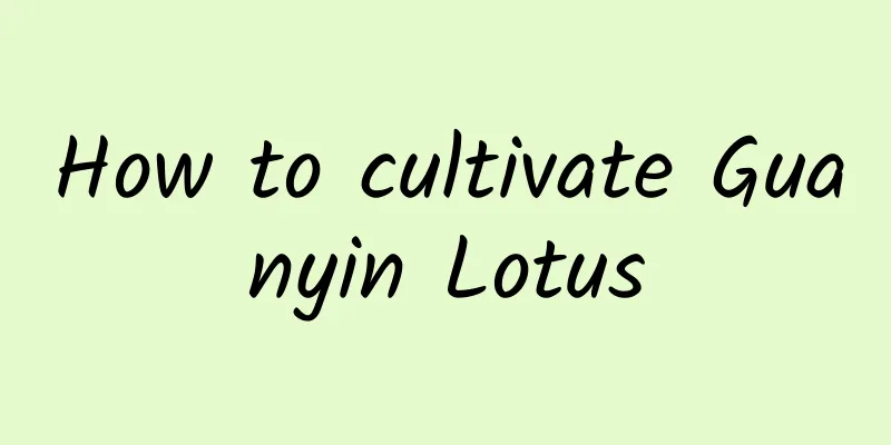 How to cultivate Guanyin Lotus