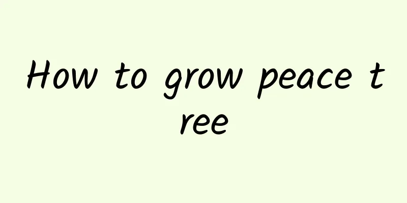 How to grow peace tree