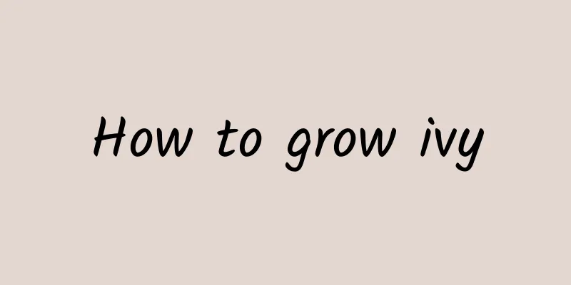 How to grow ivy