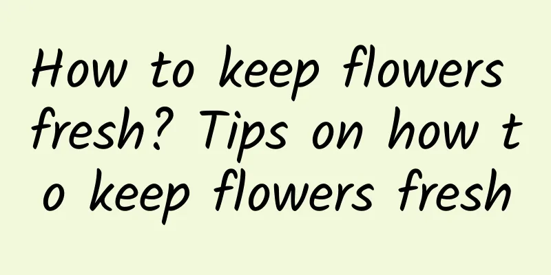 How to keep flowers fresh? Tips on how to keep flowers fresh