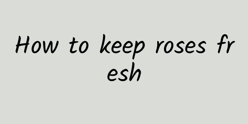 How to keep roses fresh