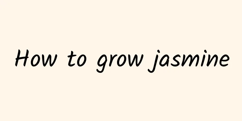 How to grow jasmine