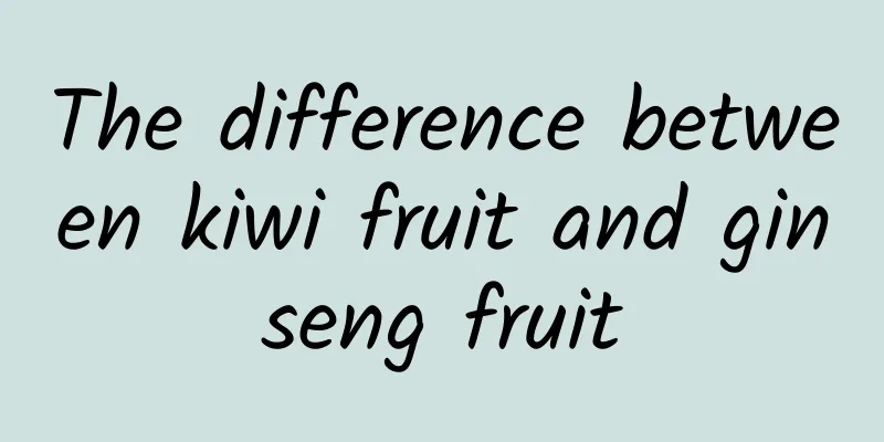 The difference between kiwi fruit and ginseng fruit