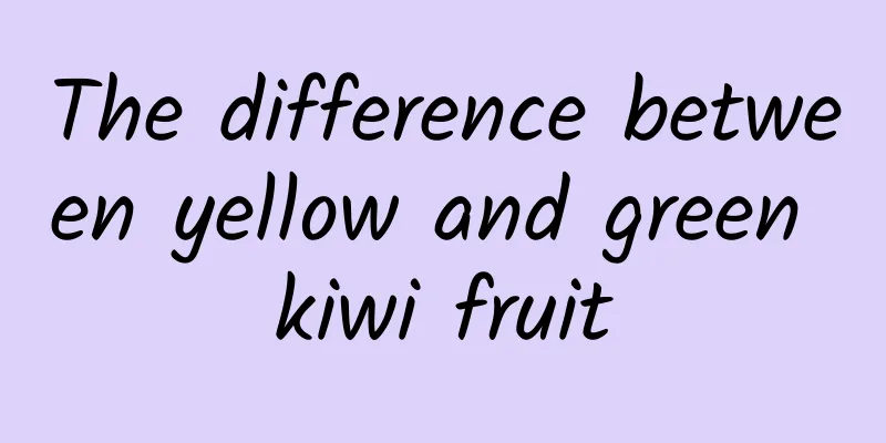 The difference between yellow and green kiwi fruit