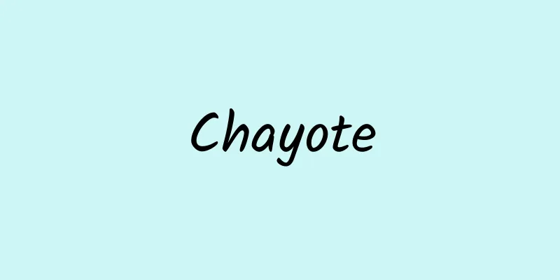 Chayote